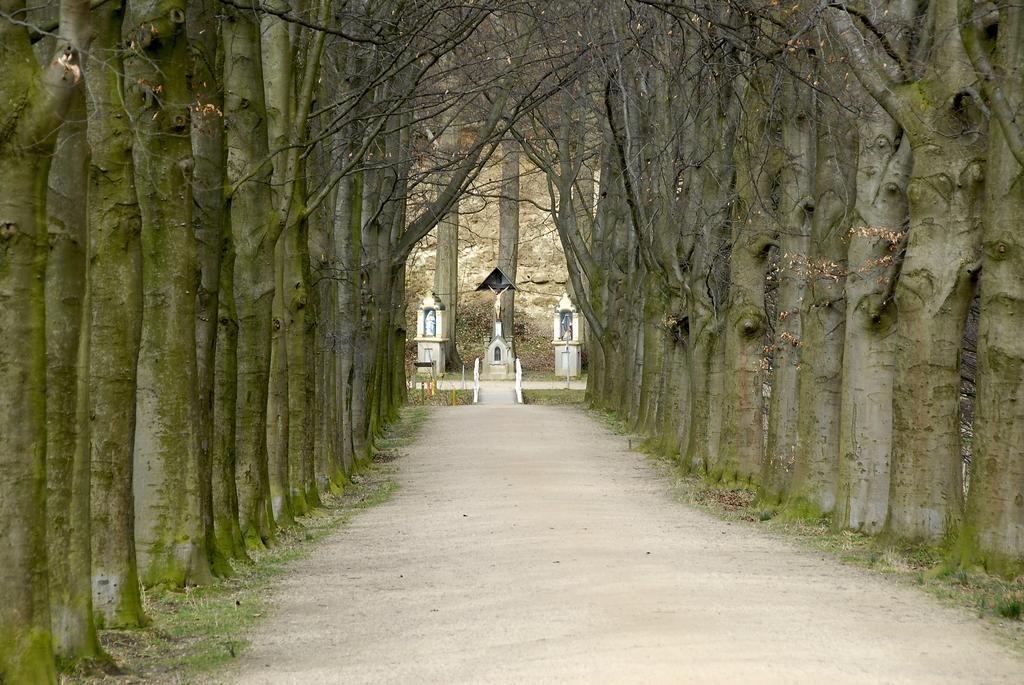 Huis Ter Geul Valkenburg aan de Geul Ngoại thất bức ảnh